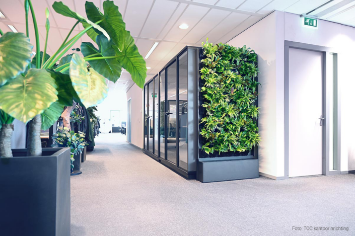 Hushoffice-Greenwall-hushmeet-akoestische-vergaderunit-groene-wand-TOC-kantoorinrichting